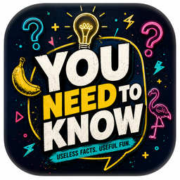 You Need to Know icon